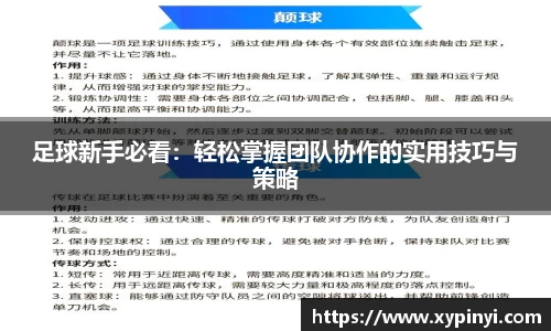 足球新手必看：轻松掌握团队协作的实用技巧与策略