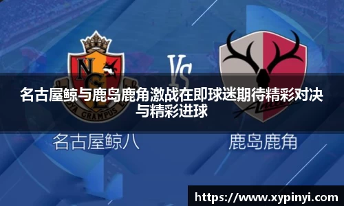 完美体育官网